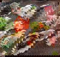 Toshi's Japanese Restaurant - Schoolies Week Accommodation