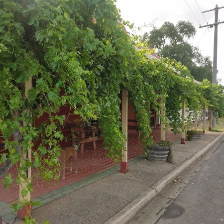 Barkly ACT Schoolies Week Accommodation