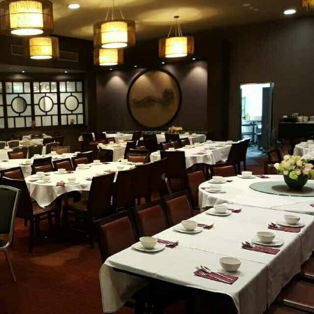 Ming Dragon Chinese Restaurant - Schoolies Week Accommodation 0