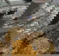 Blu J's - Schoolies Week Accommodation