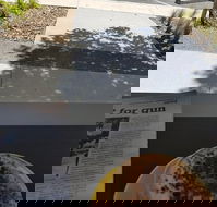 Queen of Tarts Toronto  Cessnock - Schoolies Week Accommodation