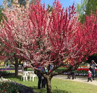 Mirchi Indian Cuisine - Schoolies Week Accommodation