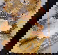 Breaks Fremantle - Schoolies Week Accommodation