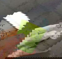 Bean 2 Taste - Schoolies Week Accommodation