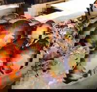 Cafe at the Hyatt Regency Perth - Schoolies Week Accommodation