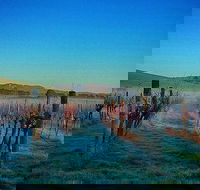 Eastern Peake Winery - Schoolies Week Accommodation