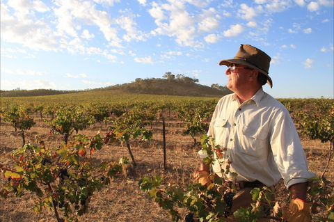 Sally's Paddock At Redbank Winery - Schoolies Week Accommodation 2