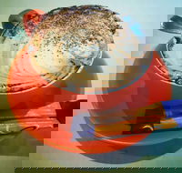 Phillips  Co - Schoolies Week Accommodation