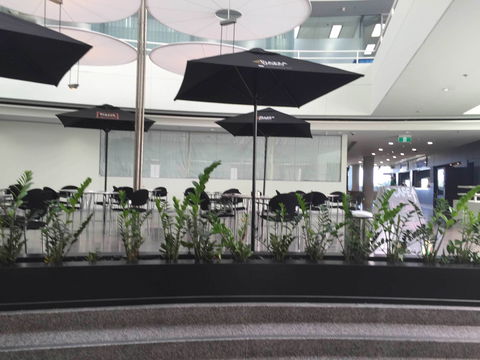 D Cafe - Schoolies Week Accommodation 0