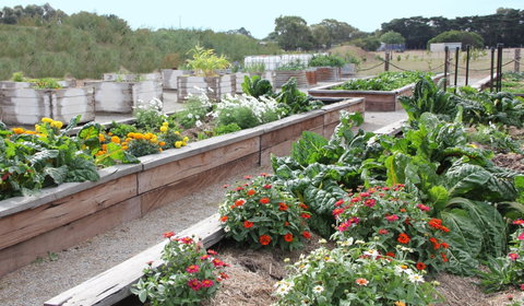 The Farmer's Place - Schoolies Week Accommodation 0