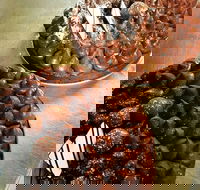 French Tarts - Schoolies Week Accommodation