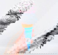 The Max Joy Co. - Eastwood - Schoolies Week Accommodation