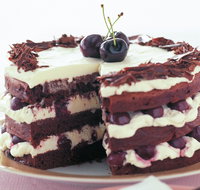 The Cheesecake Shop - Redcliffe - Schoolies Week Accommodation
