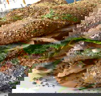 Bean Out - Schoolies Week Accommodation