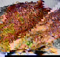 Silver Moon - Schoolies Week Accommodation