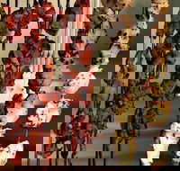 The Spice Yard - Schoolies Week Accommodation