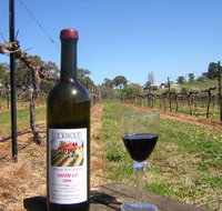 Lockwood Vineyard