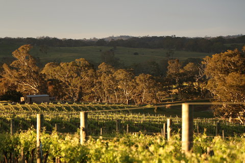 Max & Me Wine Tasting @ Eden Valley Hotel - Schoolies Week Accommodation 1