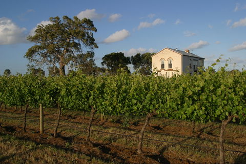 Highbank Vineyards - Schoolies Week Accommodation 0