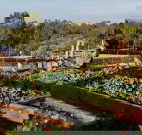 Homage - Schoolies Week Accommodation