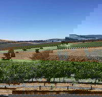 Peerick Vineyard and Winery - Schoolies Week Accommodation