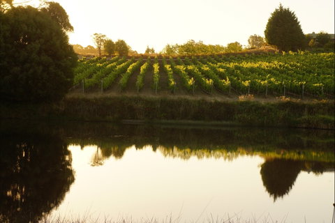 Brook Eden Vineyard - Schoolies Week Accommodation 2