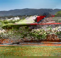 Hanging Tree Wines - Schoolies Week Accommodation