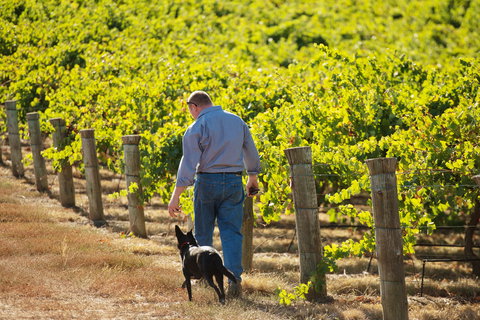 Eden Hall Wines - Schoolies Week Accommodation 1