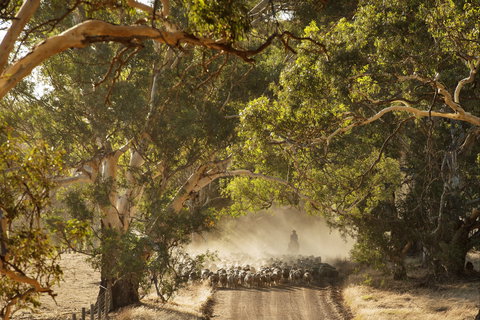 Eden Hall Wines - Schoolies Week Accommodation 2