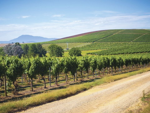 Jansz Tasmania - Schoolies Week Accommodation 0