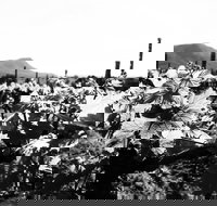 Ballabourneen Wine Co - Schoolies Week Accommodation