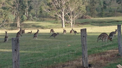 Mistletoe Winery - Schoolies Week Accommodation 1