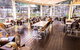 Byblos Restaurant & Bar - thumb 7
