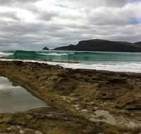 Bruny Island Berry Farm - Schoolies Week Accommodation