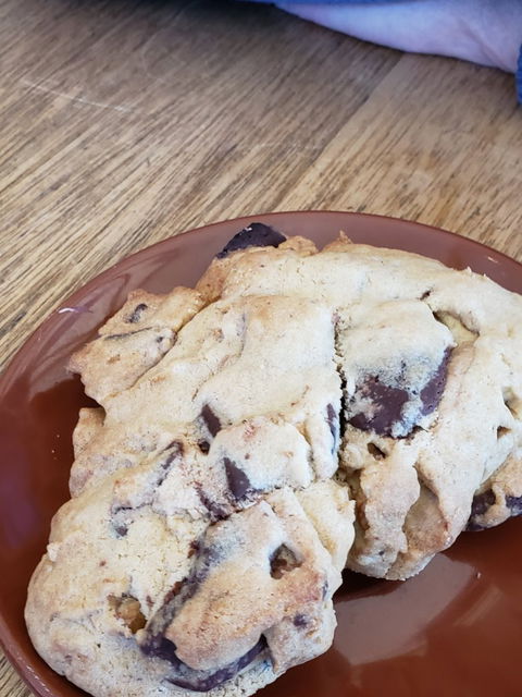 Bruny Island Cafe - Schoolies Week Accommodation 7