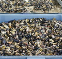 Lease 65 - Schoolies Week Accommodation