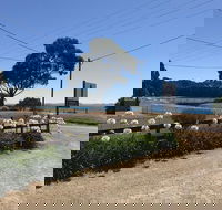 Penguin  Pardalote Coffee House - Schoolies Week Accommodation