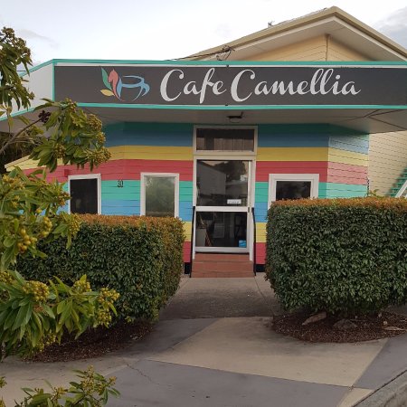 Cafe Camellia - Schoolies Week Accommodation 0