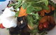 Coffee Cat On Kings Beach - thumb 3