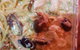 Surfside Pizza - thumb 0