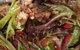 The Grill Pelican Waters - thumb 3