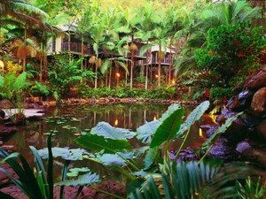 Daintree Eco Lodge & Spa - Schoolies Week Accommodation 0