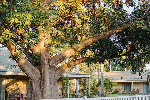 Kimberley Grande Resort & Conf Ctr - Schoolies Week Accommodation 0