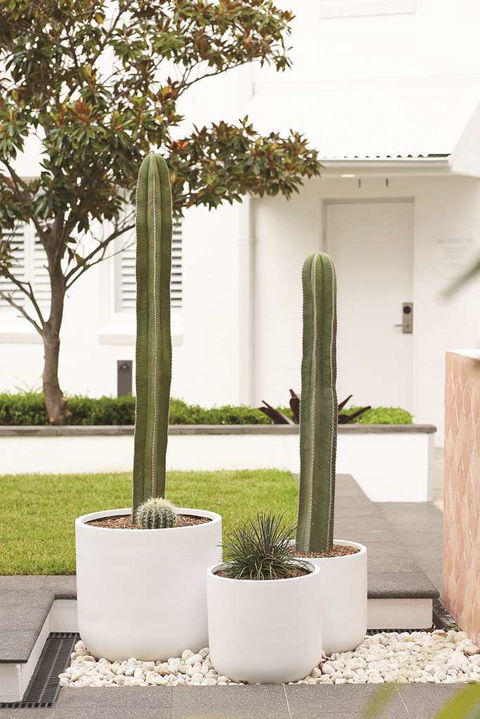 Adina Apartment Hotel Chippendale - Schoolies Week Accommodation 0