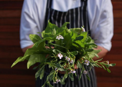 Bangalay Luxury Villas - Schoolies Week Accommodation 35