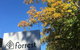 Forrest Hotel & Apartments - thumb 9