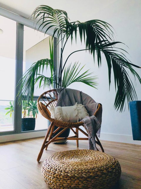 Staying Places - The Avenue - Schoolies Week Accommodation 14