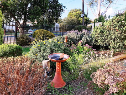 Beautiful Garden House - Schoolies Week Accommodation 21