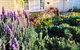 Beautiful Garden House - thumb 9