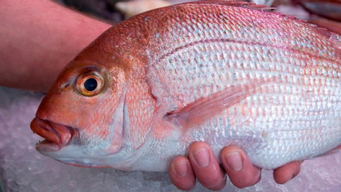 Mollymook Beach Waterfront - Schoolies Week Accommodation 16